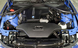 AEM C.A.S. 12-15 BMW 320/328 L4-2.0L F/l Cold Air Intake 21-785DS