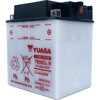 YUASA Conventional Battery  YB30CL-B  12V     YUAM2230CTWN
