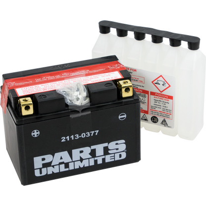 Parts Unlimited Agm Battery - Ytz14s-Bs Ctz14s-Bs