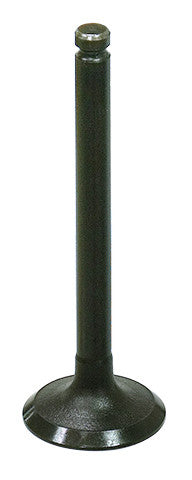 BRONCO Exhaust Valve AU-09211E