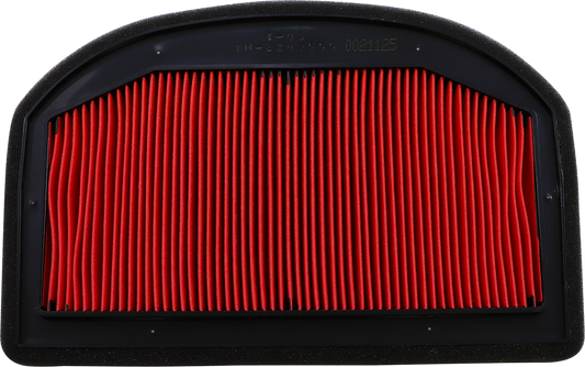 HIFLOFILTRO Air Filter - Tiger 1200 HFA6510