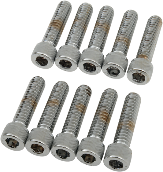 DRAG SPECIALTIES Bolts - Socket-Head - Knurled - 1/4-20 x 1" MPB181