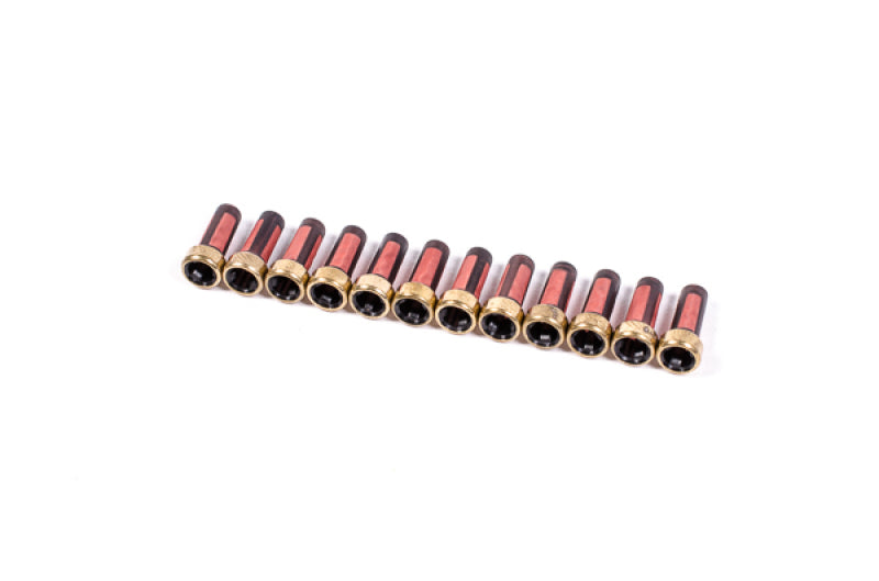 Radium Engineering Fuel Inejctor Screen - 12pc 18-0033