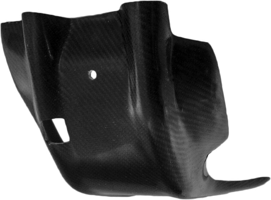 P3Skid Plate Carbon Fiber309060