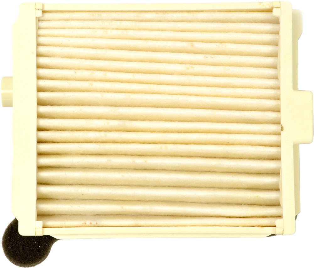 EMGO Air Filter 12-94330