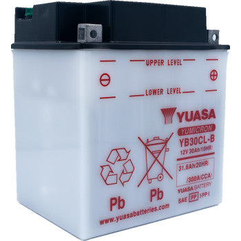 YUASA Conventional Battery  YB30CL-B  12V     YUAM2230CTWN