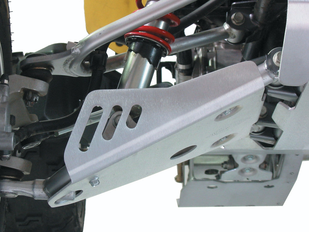 PRO ARMOR Rear A-Arm Guards CA56124