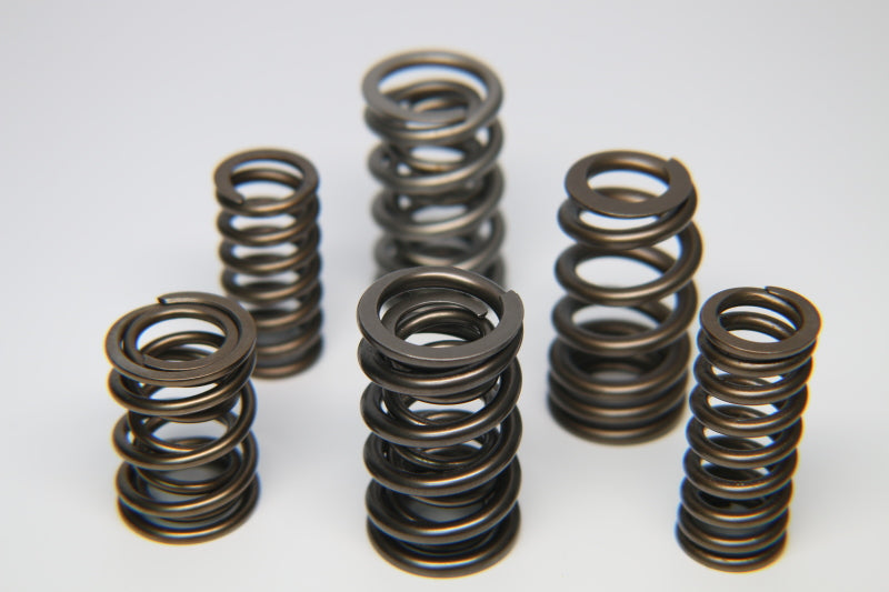 Ferrea Nissan RB26 Dual Valve Spring - Set of 24 S10090