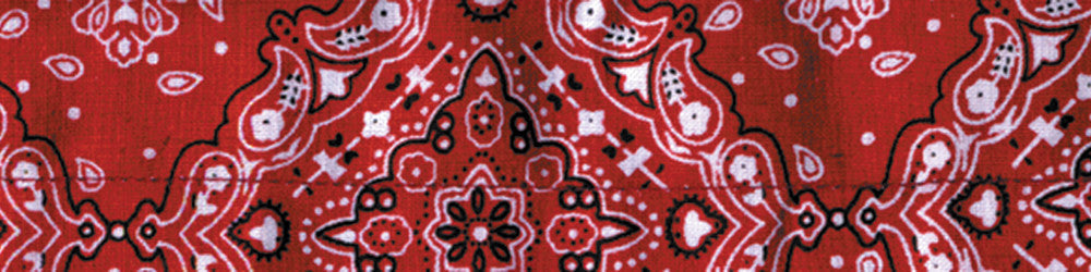 ZAN Cooldanna Paisley Red DC106