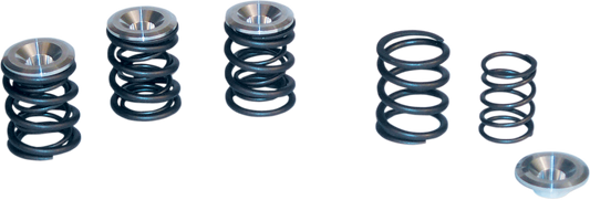 S&S CYCLE Valve Spring Kit - Big Twin 90-2053