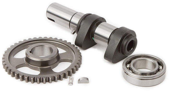 HOT CAMS Racing Cam Stage 1 5046-1E