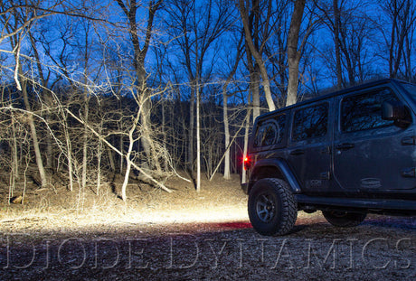 Diode Dynamics 18-21 Jeep JL Wrangler SS30 Rear Hardtop Bracket Kit - White Flood DD6110