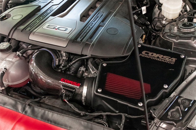 Corsa 18-22 Ford Mustang GT 5.0L V8 Carbon Fiber Air Intake w/ DryTech 3D No Oil 44007D