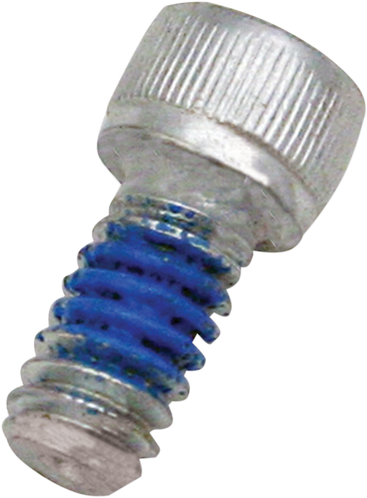 S&S CYCLE Screw 1/4" - 20x1/2" 106-2084