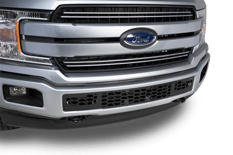 Putco 18-20 Ford F-150 - Hex Shield - Black Powder Coated Bumper Grille Inserts 83161