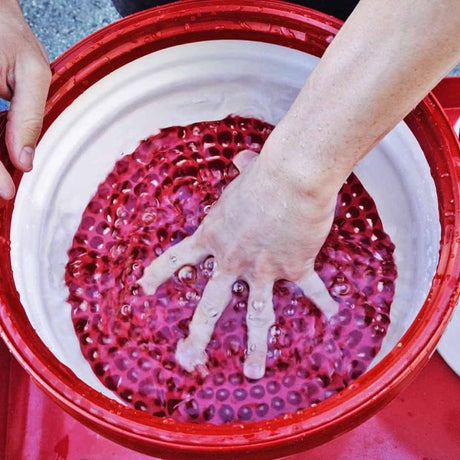 Chemical Guys Cyclone Dirt Trap Car Wash Bucket Insert - Red DIRTTRAP02