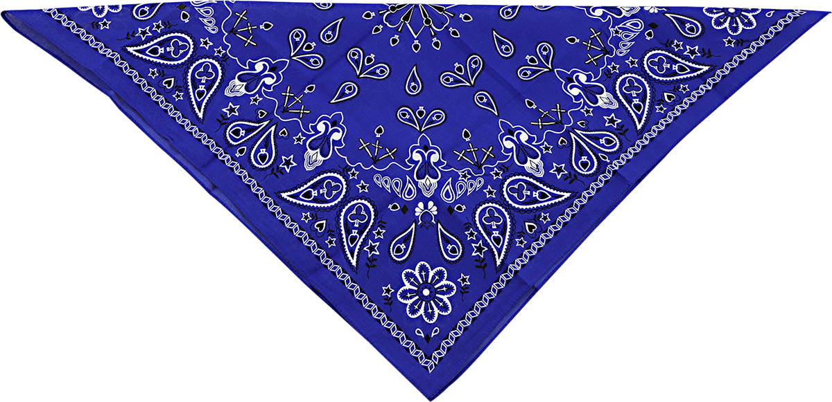 ZAN HEADGEAR Cotton Bandana - Navy Paisley B002