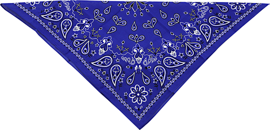 ZAN HEADGEAR Cotton Bandana - Navy Paisley B002