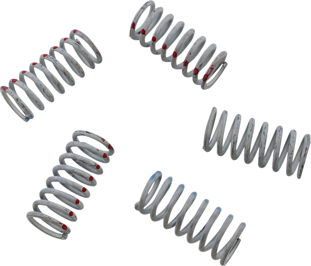 KG POWERSPORTS Clutch Spring Set KGS-049