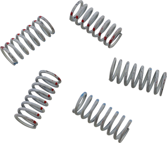 KG POWERSPORTS Clutch Spring Set KGS-049