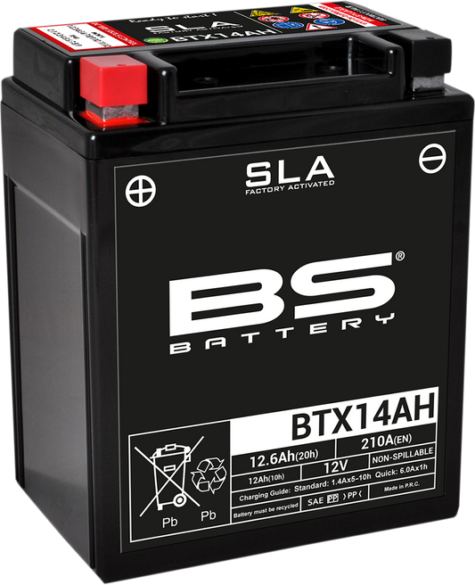 BS BATTERY Battery - BTX14AH (YTX) 300758