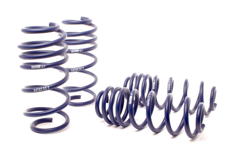 H&R 12-15 Volkswagen Passat Sedan 2.5L/1.8T/TDI/V6 OE Sport Spring (Non 4Motion) 54760-55