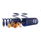 Ford Racing 15-22 Mustang Track Lowering Spring Kit M-5300-YA