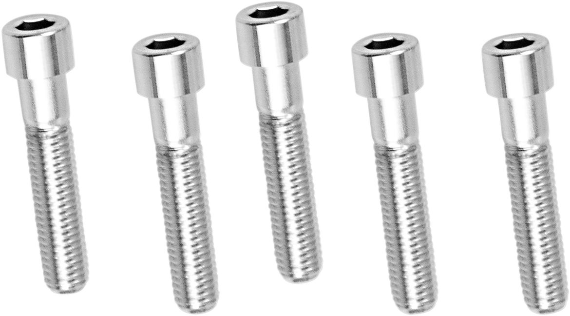 DRAG SPECIALTIES Bolts - Socket-Head - Smooth - 1/2" x 13 x 2-1/4" MPB697S