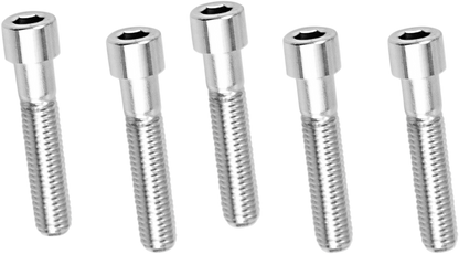 DRAG SPECIALTIES Bolts - Socket-Head - Smooth - 1/2" x 13 x 2-1/4" MPB697S