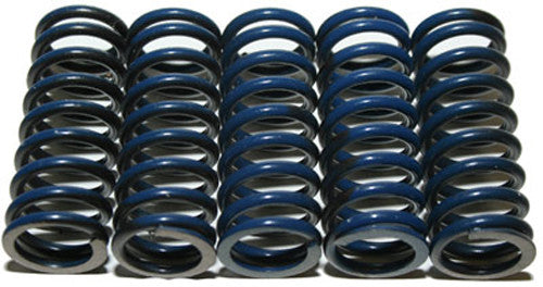 HINSON High Temp Springs 5 Springs CS294-5-0109
