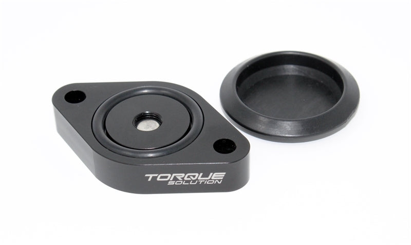 Torque Solution Sound Symposer Delete 2013+ Ford Focus ST TS-ST-511