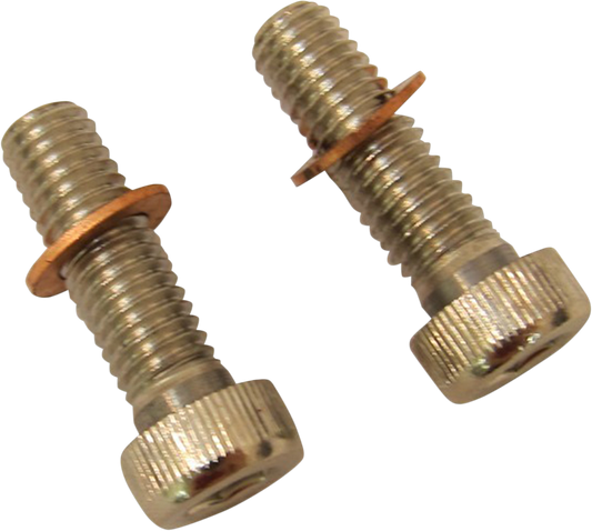 DRAG SPECIALTIES Screws with/Washers Damper Tube C23-0237NU-2