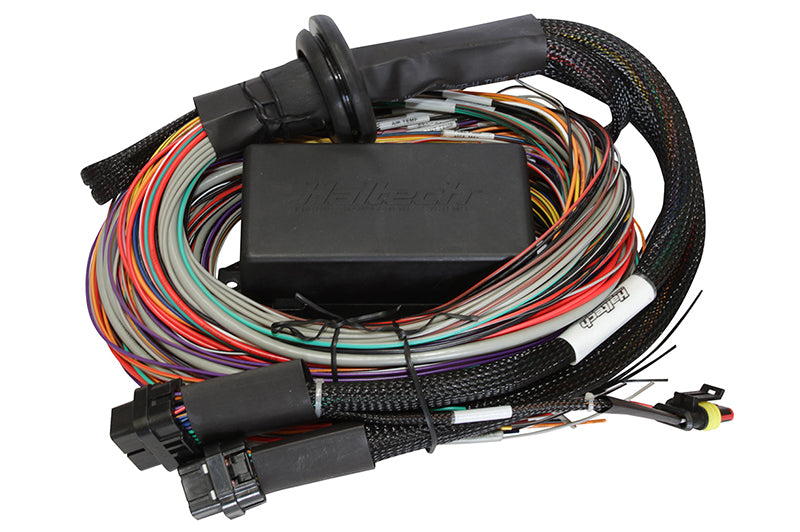 Haltech Elite 1500 8ft Premium Universal Wire-In Harness HT-140904