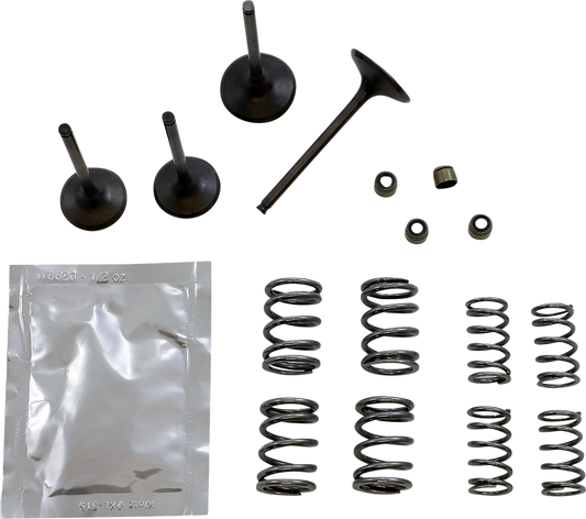 WISECO Valve Kit SVKB4406