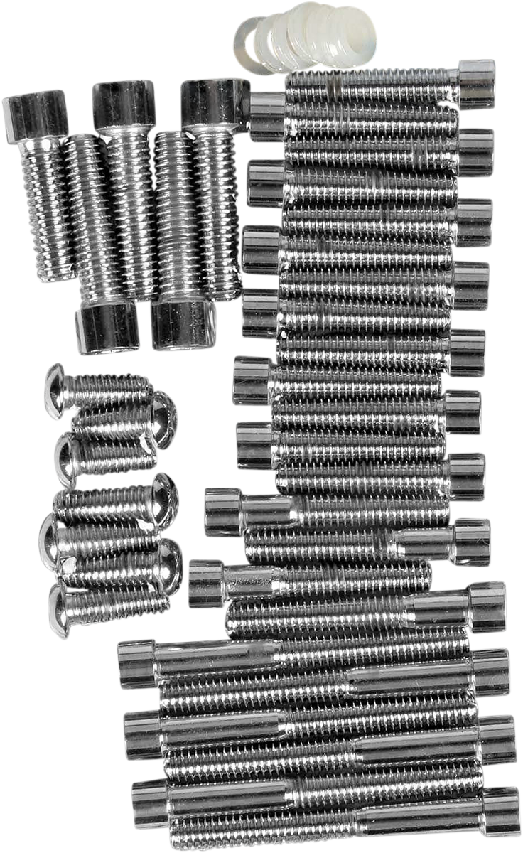 DRAG SPECIALTIES Socket-Head Smooth Primary Bolt Kit - Softail MK116S