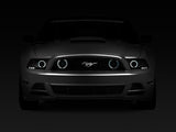 Raxiom 13-14 Ford Mustang GT CCFL Halo Fog Lights (Smoked) 49177