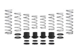 Eibach Pro-UTV 18-19 Polaris XP1000 Turbo 4 Seat Stage 2 Performance Springs E85-209-012-04-22