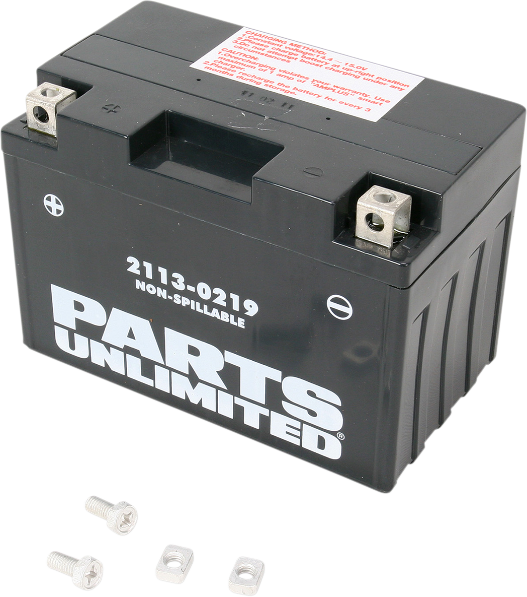 Parts Unlimited Agm Battery - Yt12a-Bs Ct12a-Bs