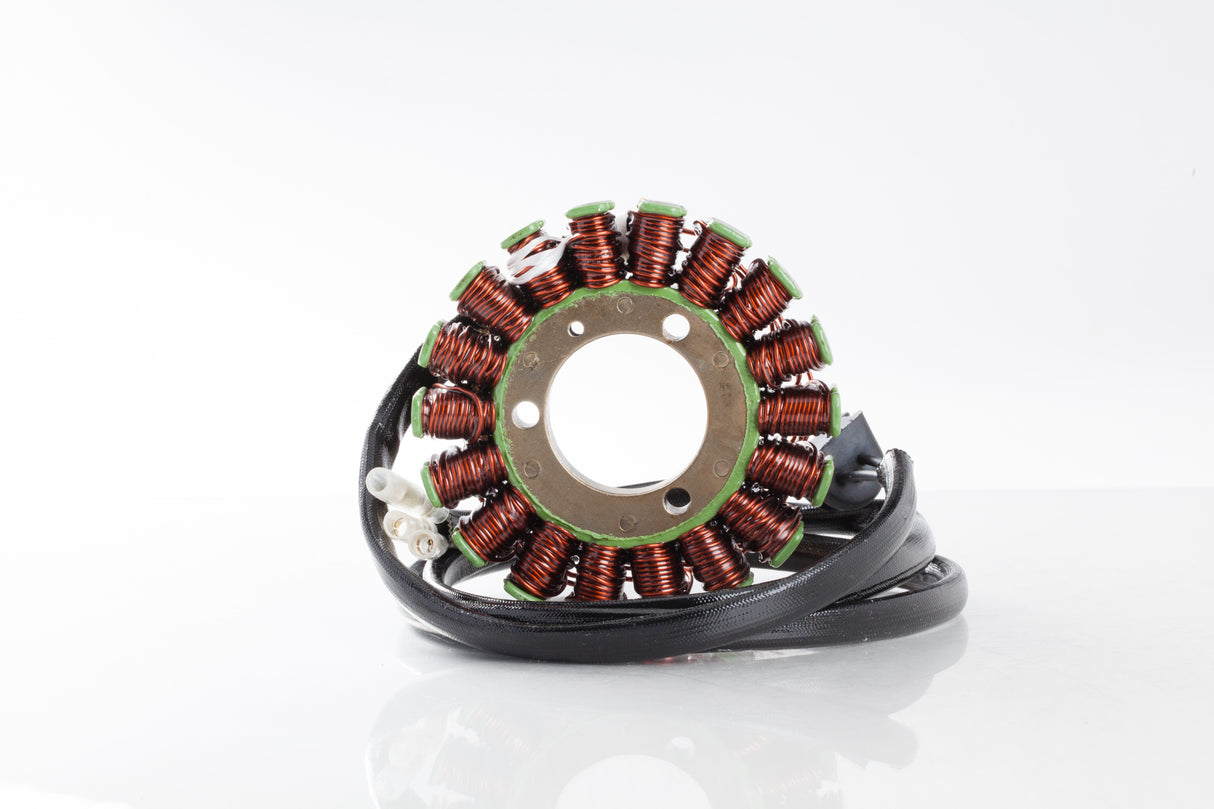 RICKS Stator 21-301
