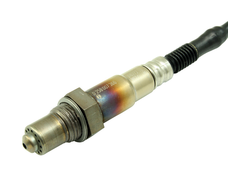 AEM Bosch UEGO Replacement Sensor 30-2001