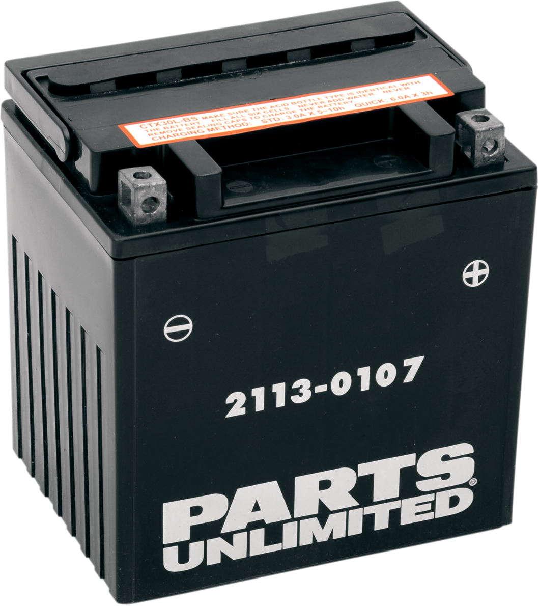 Parts Unlimited Agm Battery - Yix30l-Bs Ctx30l-Bs