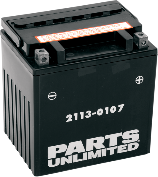 Parts Unlimited Agm Battery - Yix30l-Bs Ctx30l-Bs