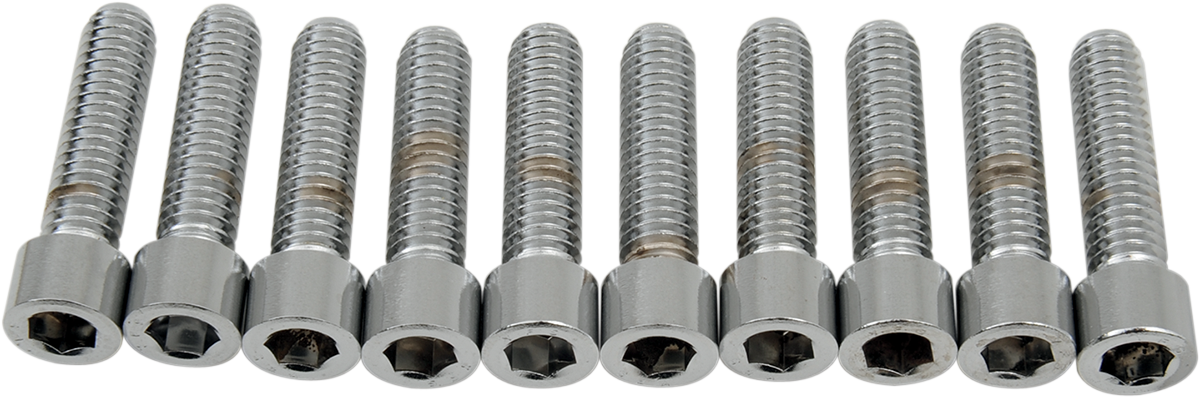 DRAG SPECIALTIES Bolts - Socket-Head - Smooth - 5/16-18 x 1-1/4" MPB218S