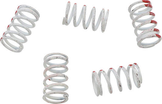 KG POWERSPORTS Clutch Spring Set KGS-033