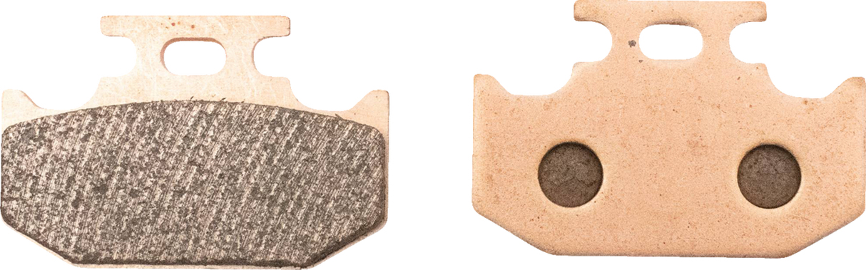 ALL BALLS Sintered Brake Pad Kit 18-8055