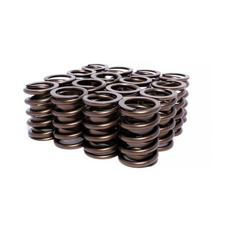 VALVE SPRINGS 5862