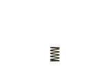 Turbosmart Gen-V WG38/40 3psi Black Inner Spring TS-0550-3081