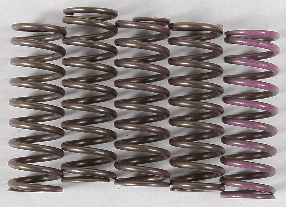 HINSON High Temp Springs 5 Springs CS330-5-0509