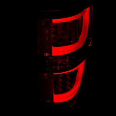 ANZO 2009-2013 Ford F-150 LED Taillights Chrome 311259