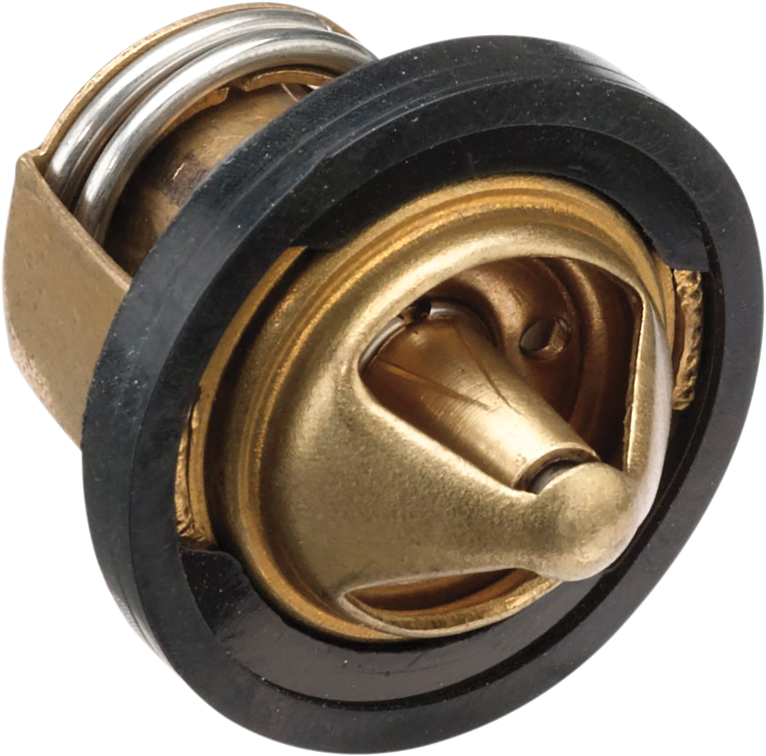 MOOSE UTILITY Thermostat - Polaris 100-2071-PU